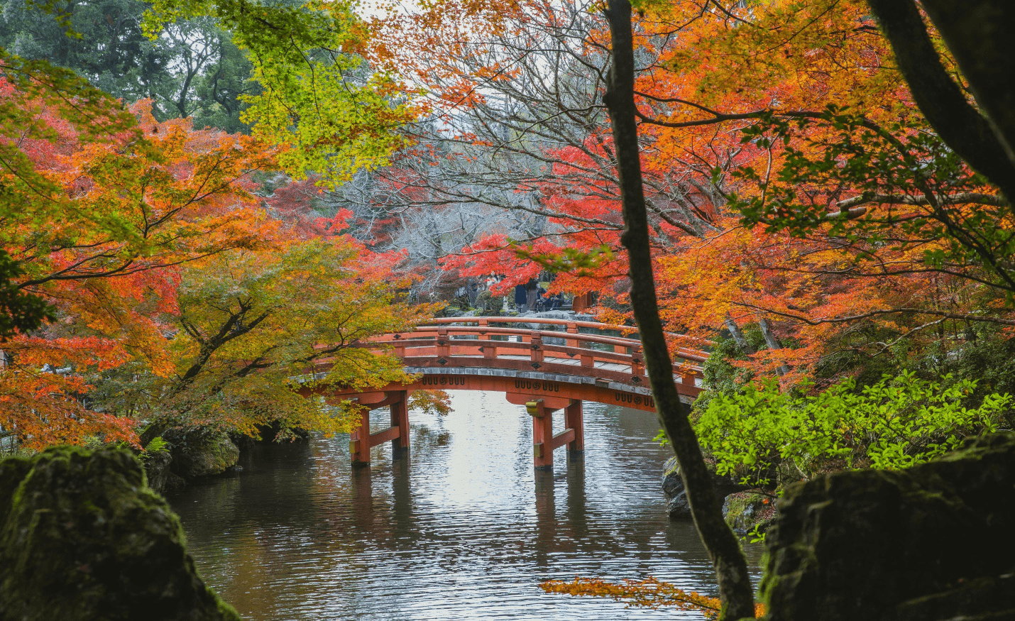 Arched bridge over calm lake 