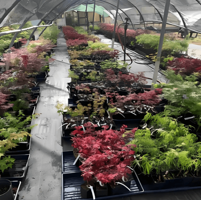 A large space with plants and more.